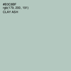 #B3C8BF - Clay Ash Color Image